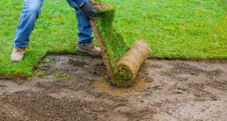Landscapes Company