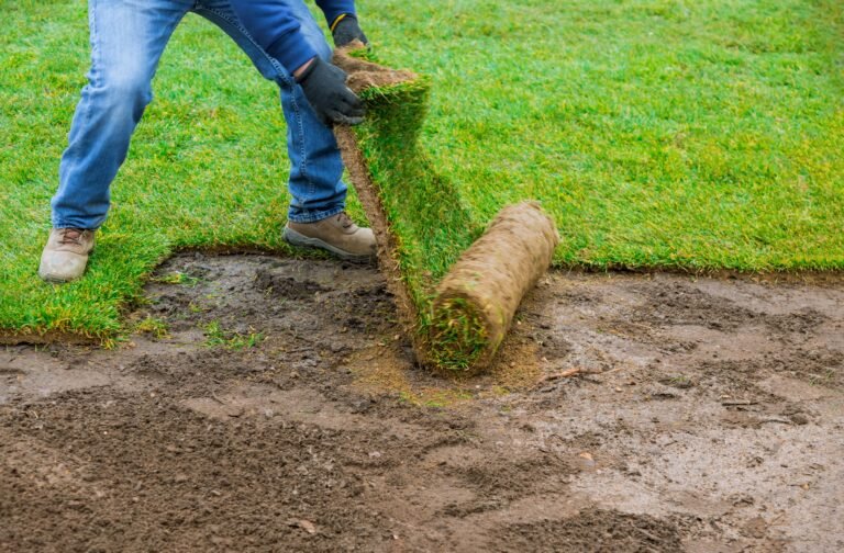 How to Take Care of Your Yard in The Way The Best Landscapes Company in The USA Does