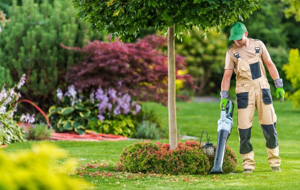 Common Lawn Diseases Know From Best Landscape And Lawn Services Near Me 17162351333