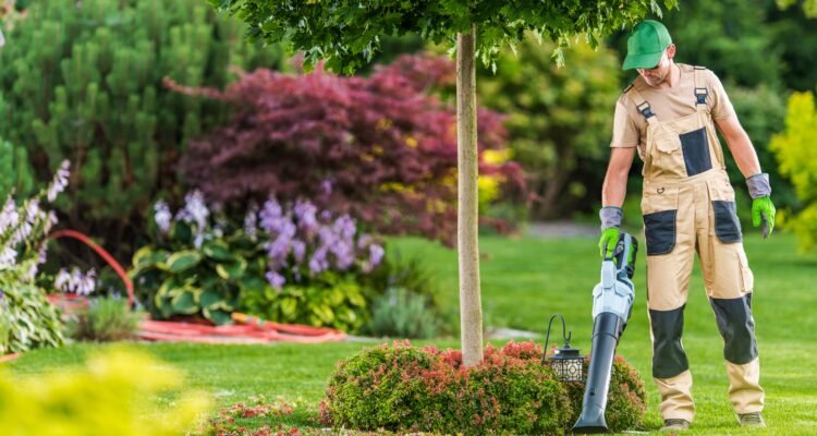 Landscape and Lawn Services