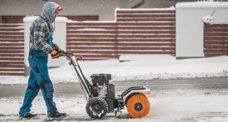 Tree and Snow Removal Services