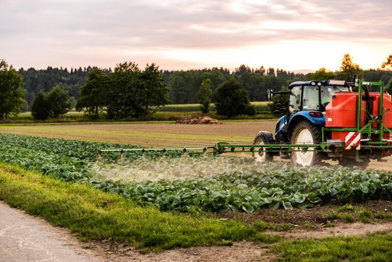 Weed Control: The Big, The Small and Everything in Between – That You Must Know About