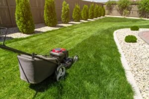 Best Lawn Care Company in Amherst