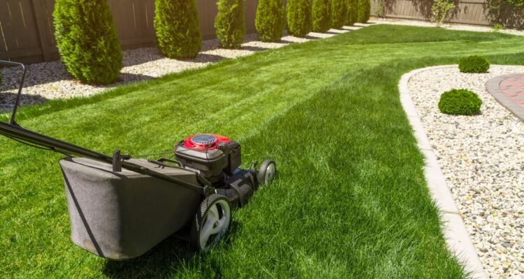 Best Lawn Care Company in Amherst