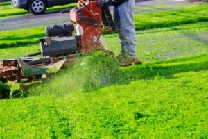 Best lawn care company in Amherst