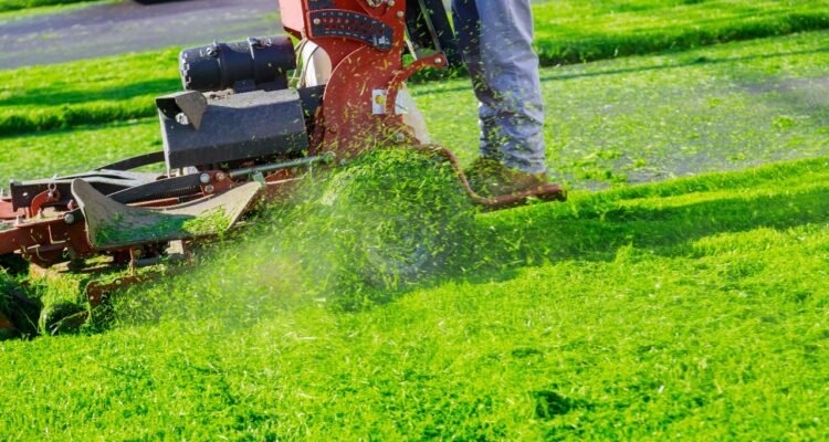 Best lawn care company in Amherst