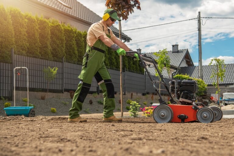 5 Tips for Revival of Plants: Landscape and Lawn Services in Amherst