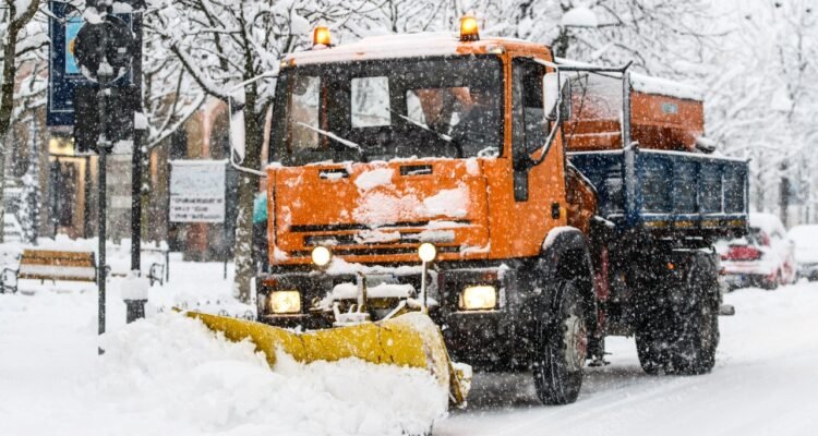 Tree and Snow Removal Services in Amherst