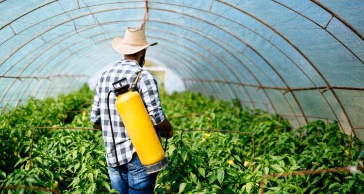 Weed Control Company in Amherst