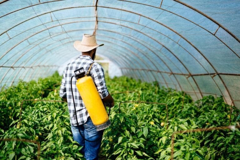 Weed Control Company in Amherst: 7 Questions to Ask them Before Hiring