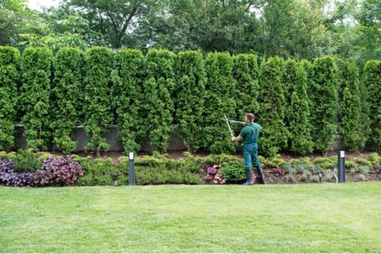 5 Solutions to Handling Tricky Landscapes