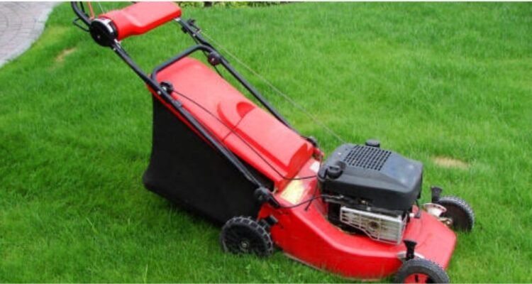 Landscape and lawn services in amherst