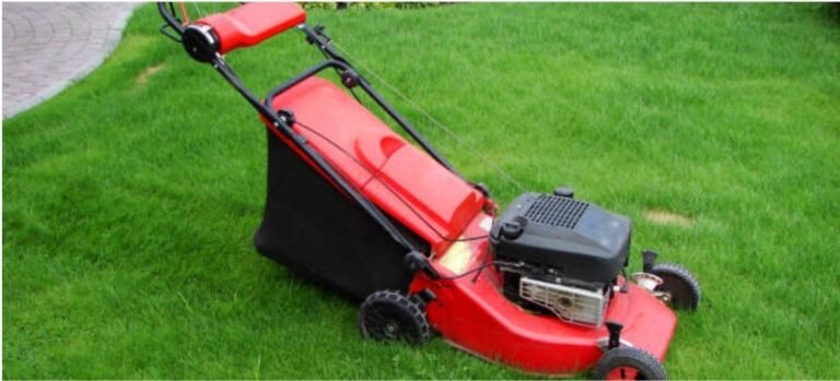 10 Tips on Hiring Expert Landscape and Lawn Services in Amherst