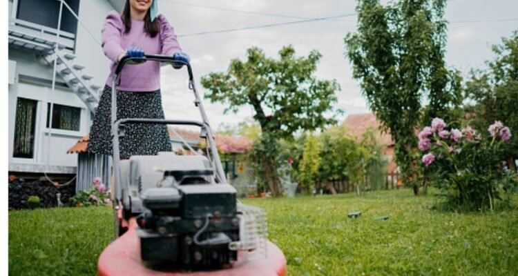 Best Lawn Care Company in Amherst