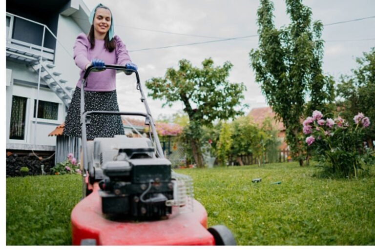 Best Lawn Care Company in Amherst: Things To Consider When Selecting the Best Among the Rest