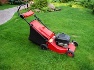 Landscape and lawn services in buffalo