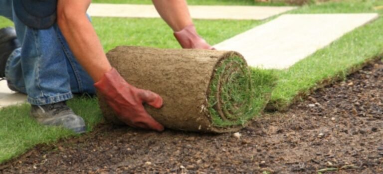 Is sodding a Logical Thing To Do in Winter?