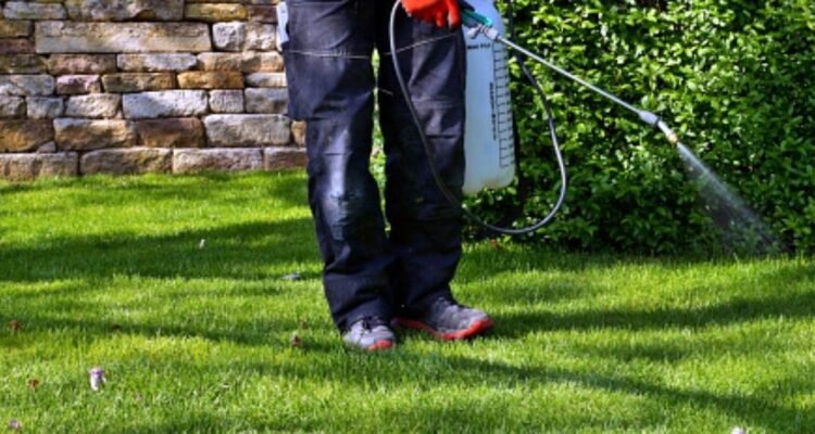 Spring Weed Control