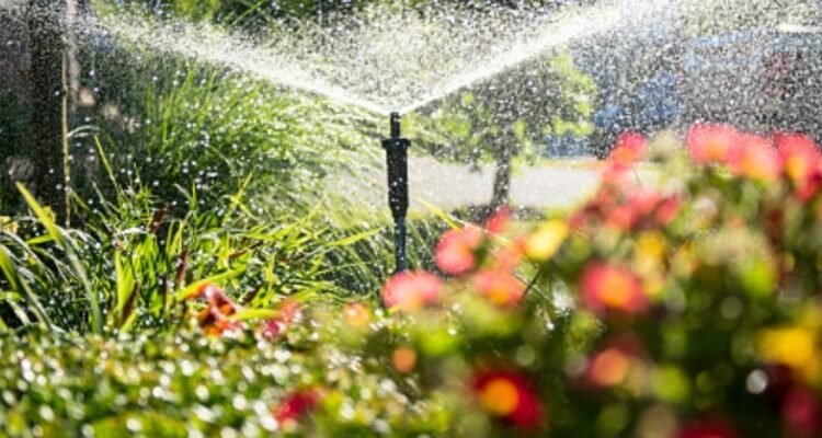 Lawn watering tips | Lawn Watering System