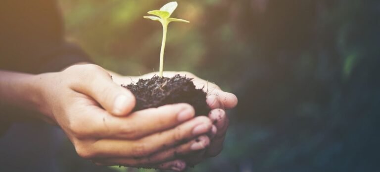 7 Quick Tips For Spring Lawn Care