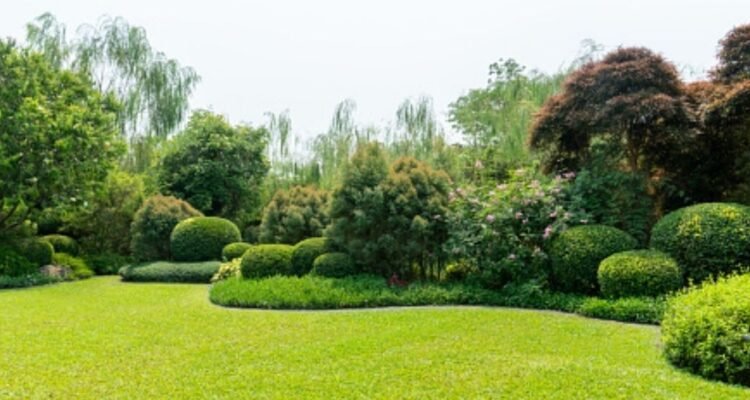 common lawn care mistakes