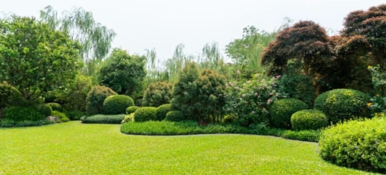 6 Biggest Lawn Care Mistakes You Certainly Didn’t Know About