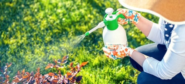 Lawn Pesticides: 6 Important Things Every Homeowner Must Know