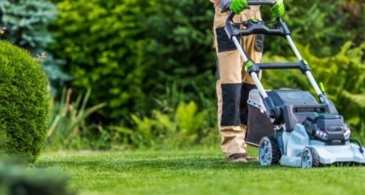 lawn mowing