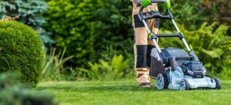 Smart Landscaping in Amherst: Eco-Friendly Tips to Beautify Your Outdoor Space