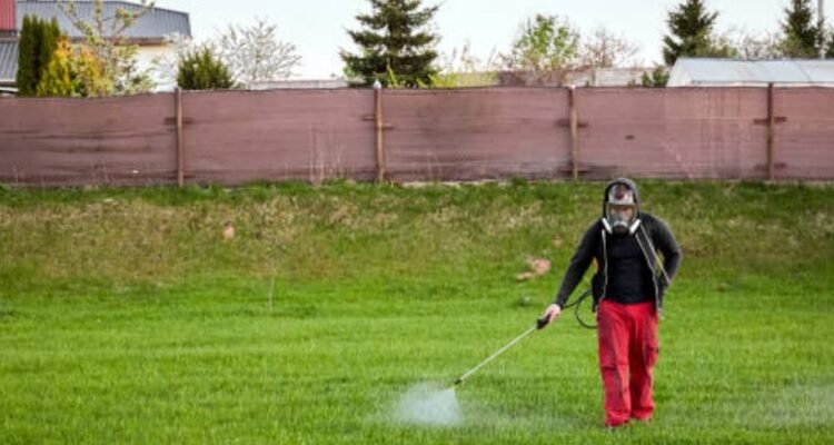 getting rid of weed