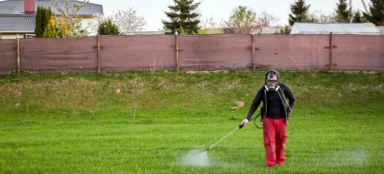 Weed Problem At Your Garden? Get Rid Of It Permanently