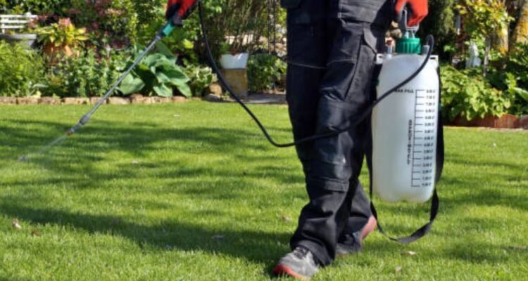 lawn maintenance