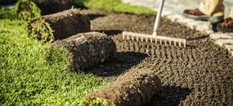 Premium Sod Installation Services in Amherst, NY