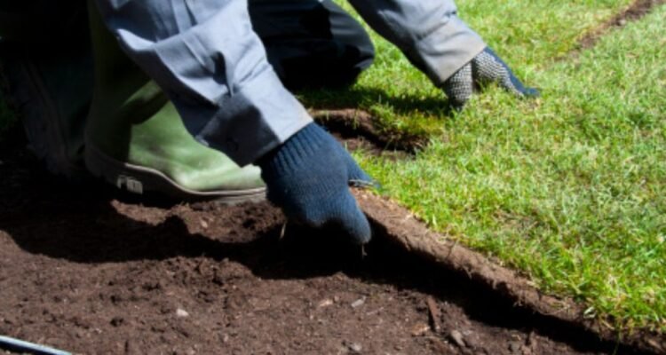 laying sod