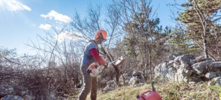Winter Lawn Care In Amherst: 6 Ways To Make it Easy!