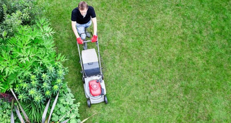 Lawn Mowing Amherst NY