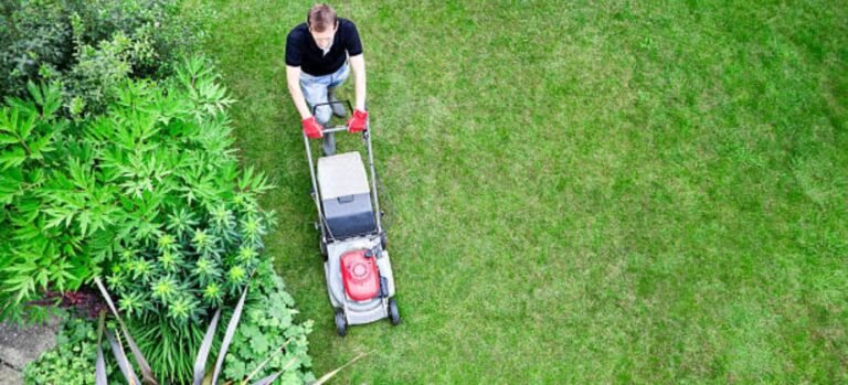 8 Tips For A Better Lawn Mowing Experience