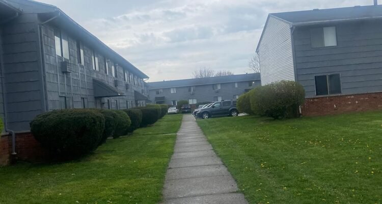 Landscaping service in amherst