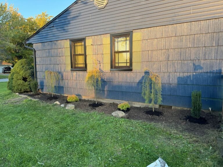 Essential Mulch Installation Tips Every Homeowner Should Know