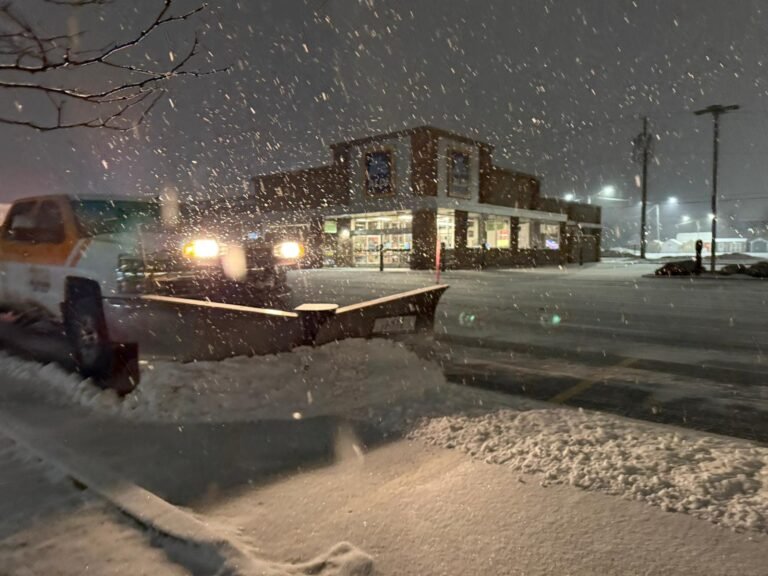 Complete Guide to Snow Removal Near You: Options & Services