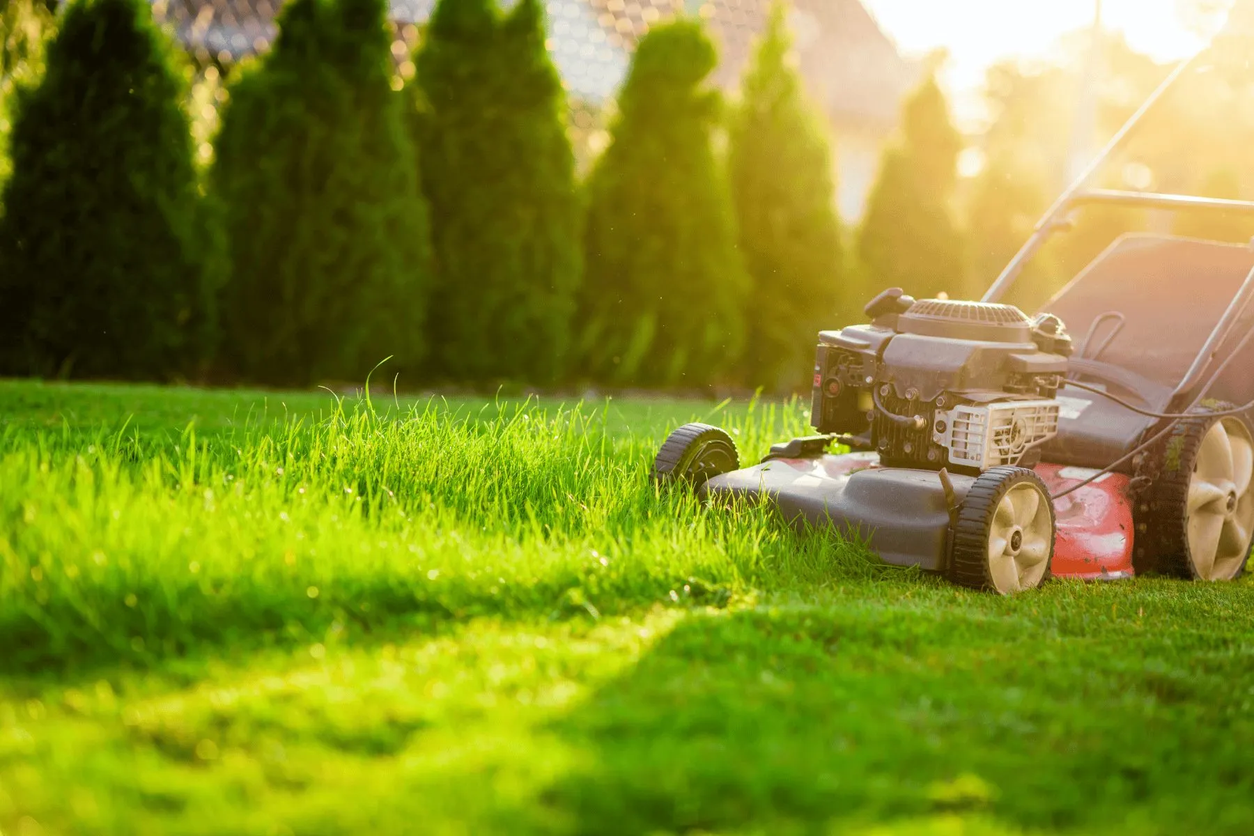 Lawn care service in Amherst NY