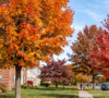 A vibrant autumn street in Amherst NY featuring mature Sugar Maple and Red Maple trees showcasing brilliant orange and crimson fall foliage.